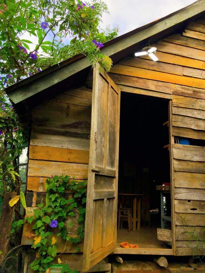 Montagnards Home Farm - Cà Phê Nhà Sàn Đắk Mil Duc Lap Exterior foto